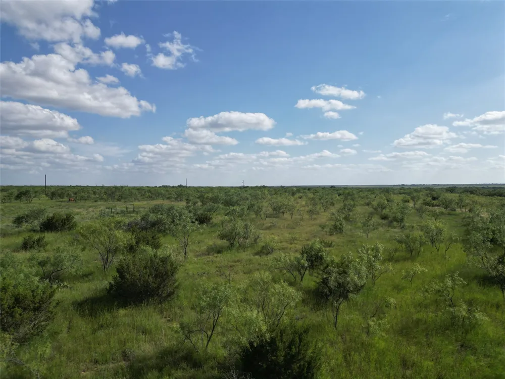 CR 212 Wingate, TX 79566