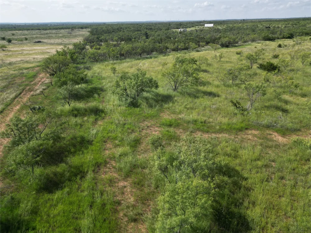 CR 212 Wingate, TX 79566