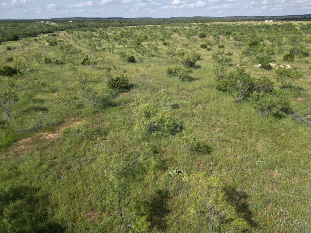 CR 212 Wingate, TX 79566