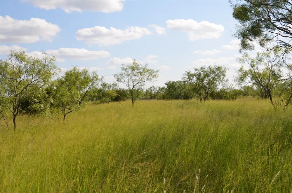 CR 212 Wingate, TX 79566