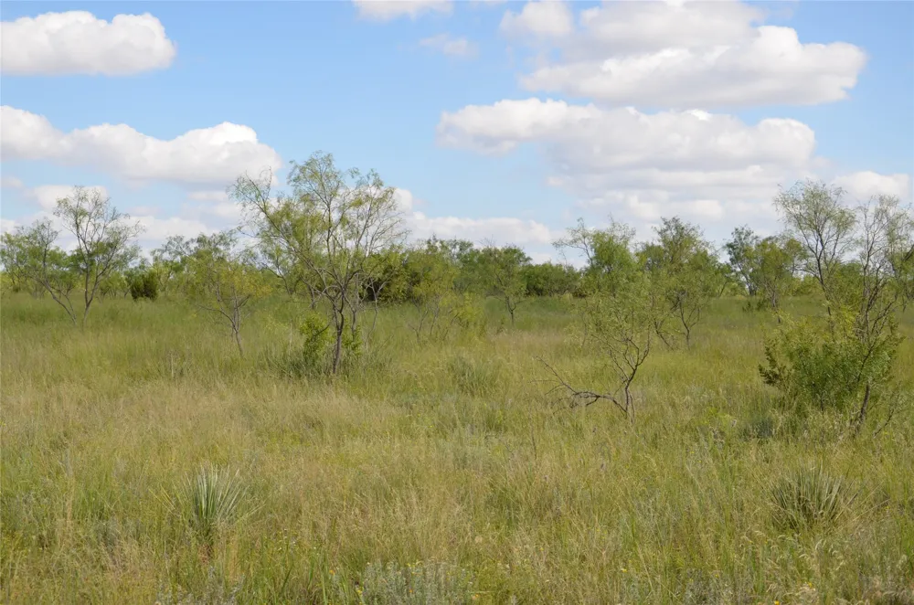 CR 212 Wingate, TX 79566