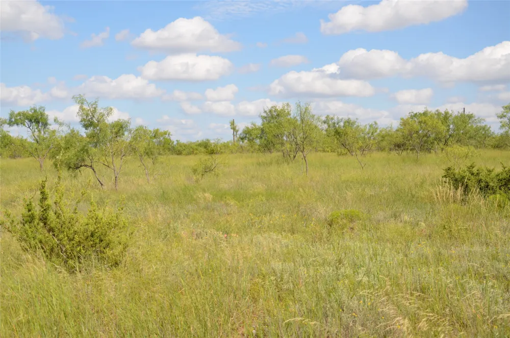 CR 212 Wingate, TX 79566