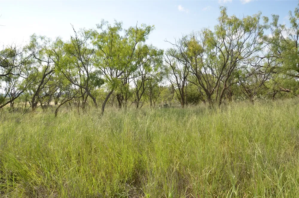 CR 212 Wingate, TX 79566