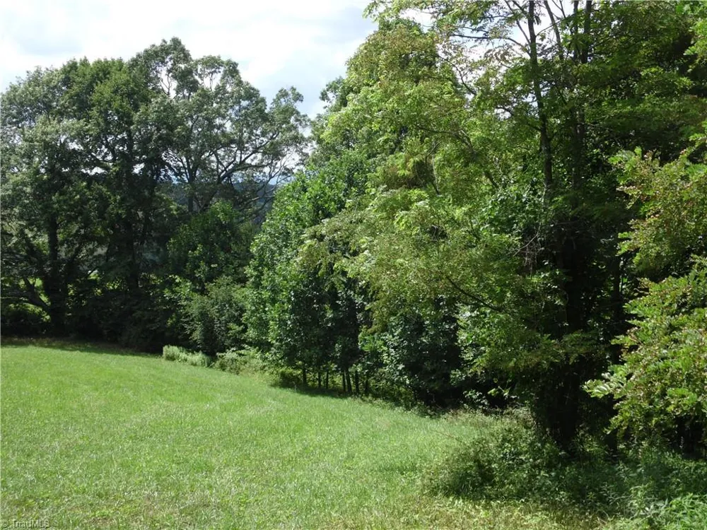 TBD Glendale Court Laurel Springs, NC 28644