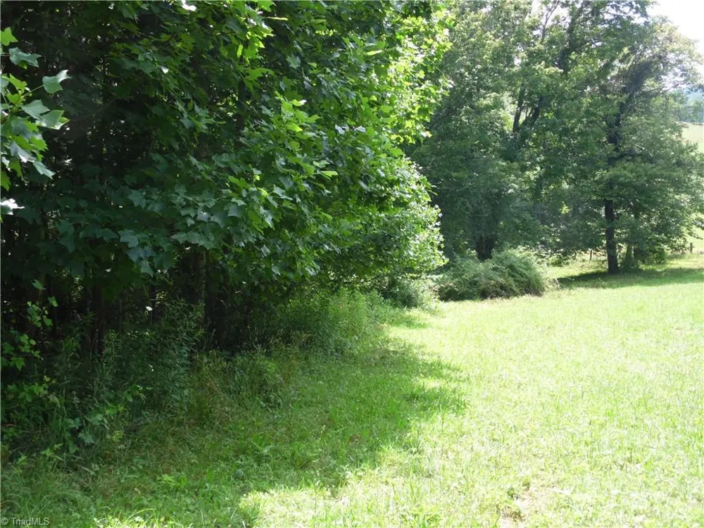 TBD Glendale Court Laurel Springs, NC 28644