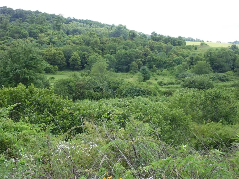 TBD Glendale Court Laurel Springs, NC 28644