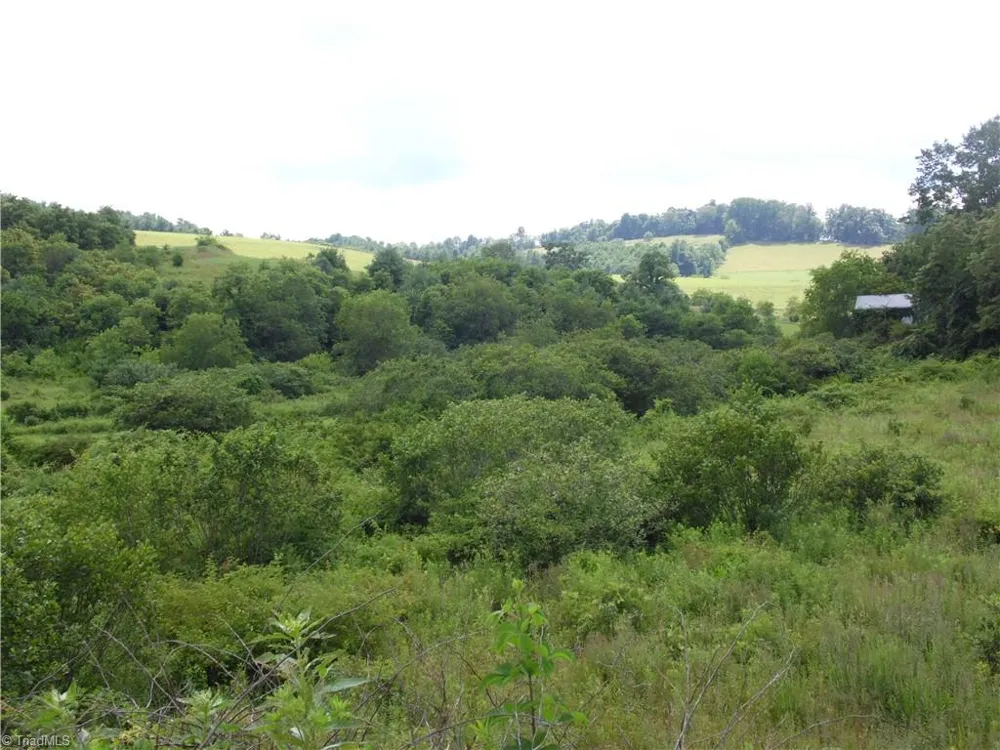 TBD Glendale Court Laurel Springs, NC 28644