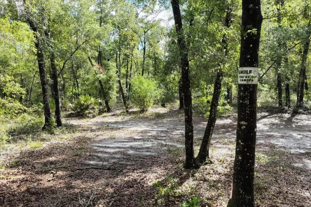 0000 SW COUNTY ROAD 347 Chiefland, FL 32626