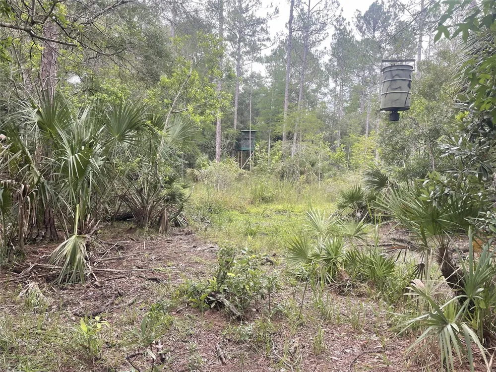 0000 SW COUNTY ROAD 347 Chiefland, FL 32626