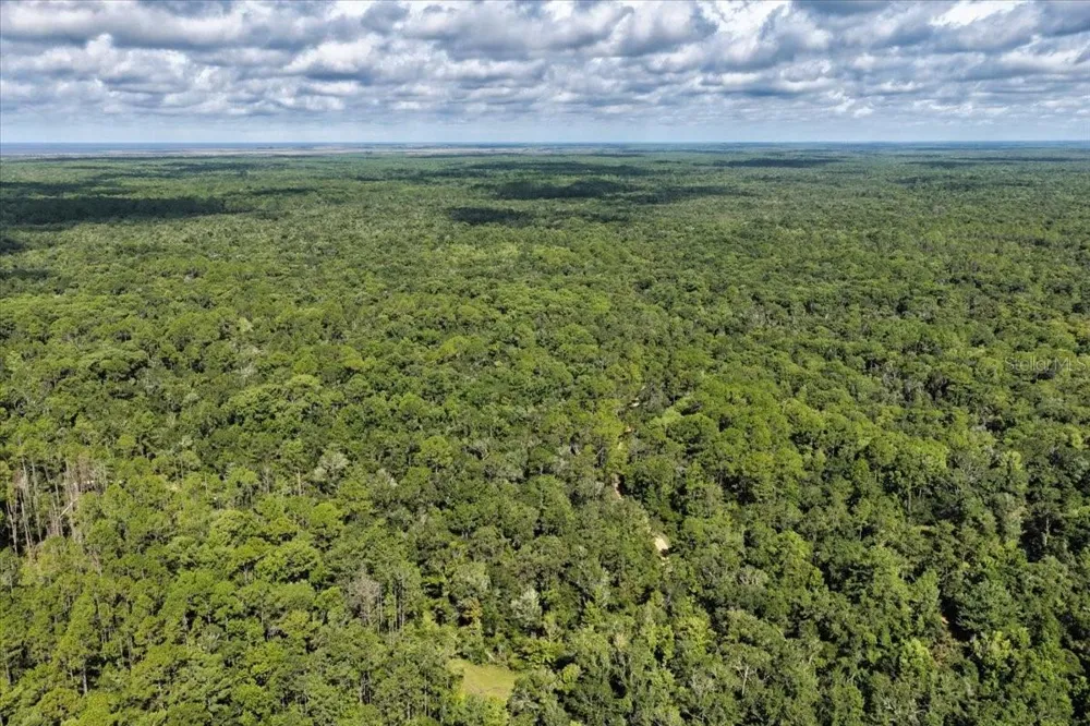 0000 SW COUNTY ROAD 347 Chiefland, FL 32626