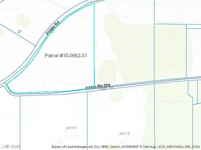 Jungo Road Other, NV 89445