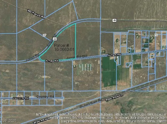 Jungo Road Other, NV 89445