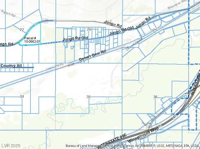 Jungo Road Other, NV 89445