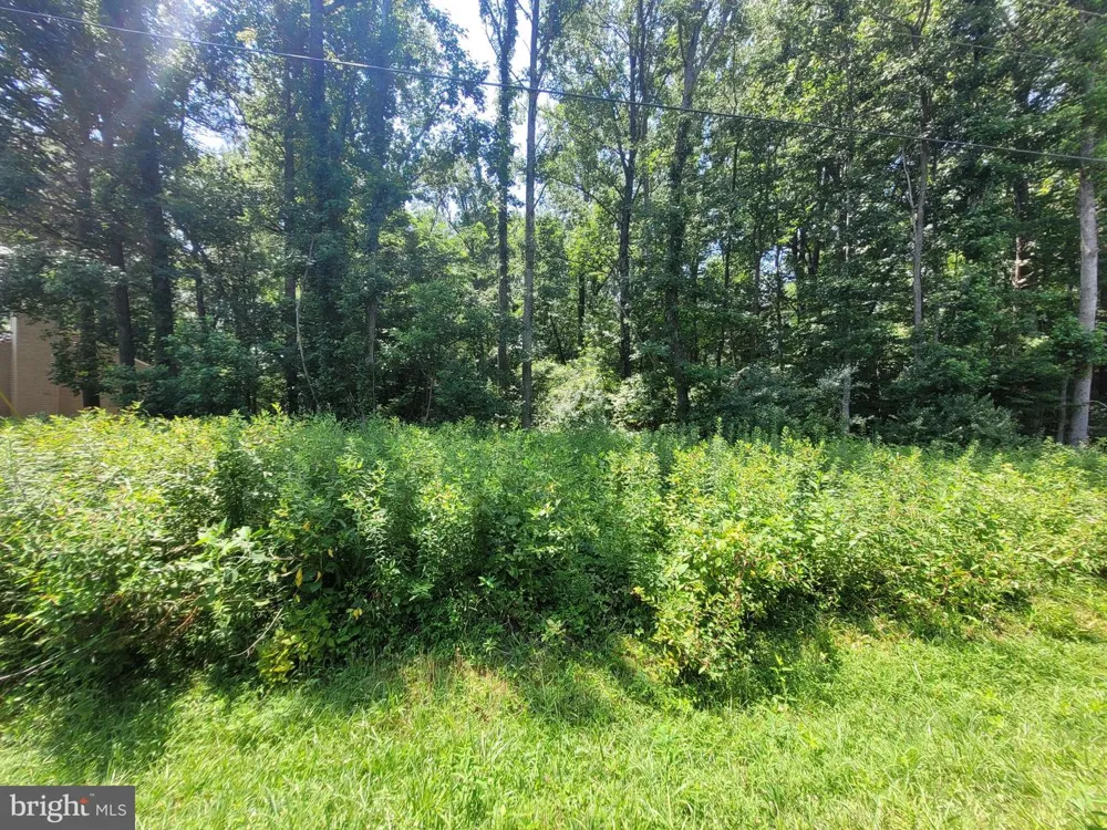 GROVE DR Montross, VA 22520