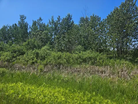 xxx County Road 32