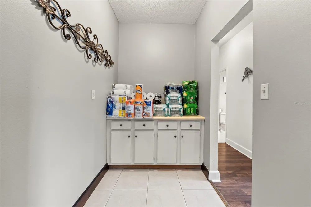 32137 WOLF BRANCH LANE Sorrento, FL 32776