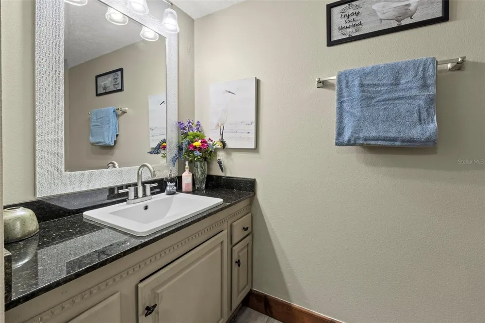 32137 WOLF BRANCH LANE Sorrento, FL 32776
