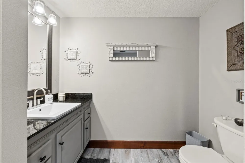 32137 WOLF BRANCH LANE Sorrento, FL 32776