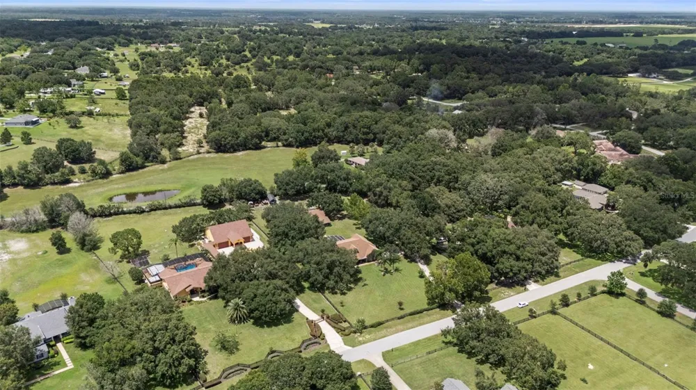 32137 WOLF BRANCH LANE Sorrento, FL 32776
