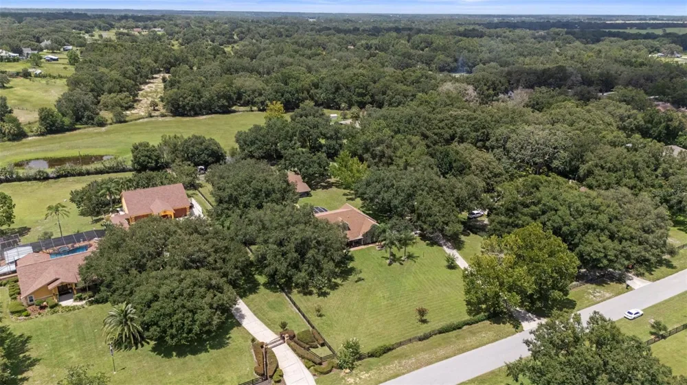 32137 WOLF BRANCH LANE Sorrento, FL 32776