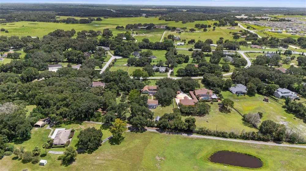 32137 WOLF BRANCH LANE Sorrento, FL 32776