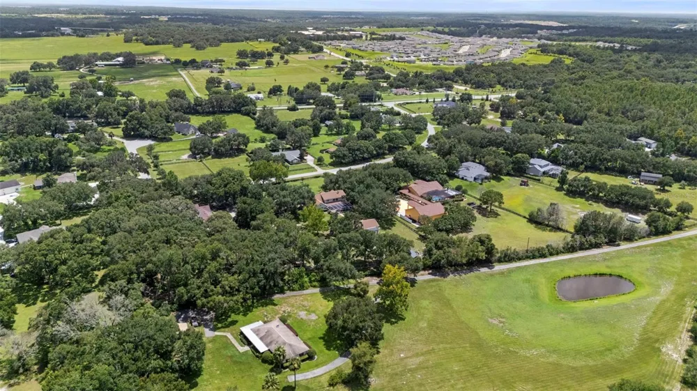 32137 WOLF BRANCH LANE Sorrento, FL 32776
