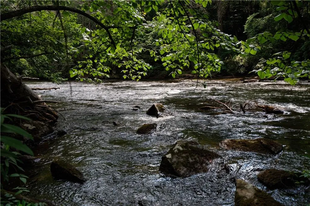 0 Old Rock Creek Road Blue Ridge, GA 30513