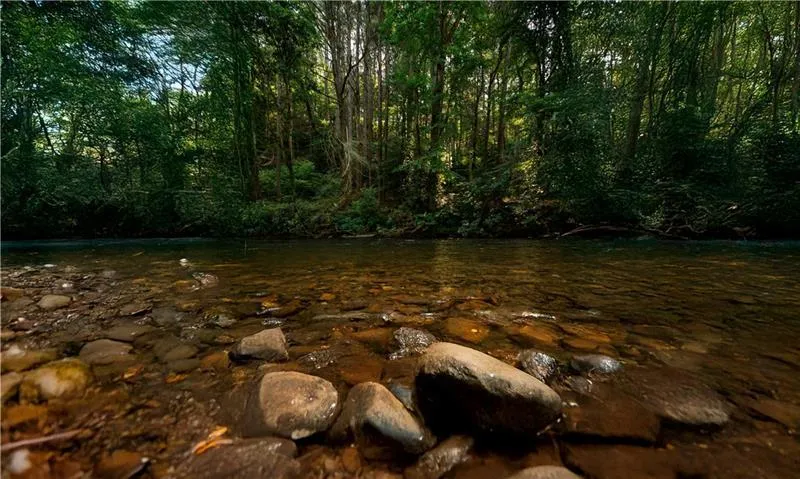 0 Old Rock Creek Road Blue Ridge, GA 30513
