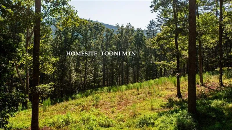 0 Old Rock Creek Road Blue Ridge, GA 30513