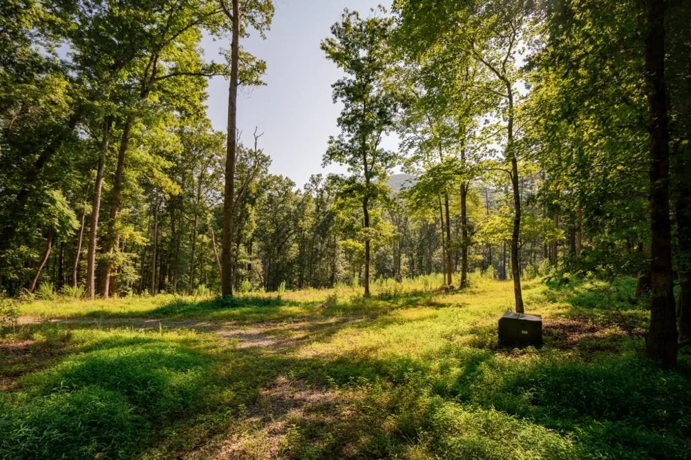 0 Old Rock Creek Road Blue Ridge, GA 30513