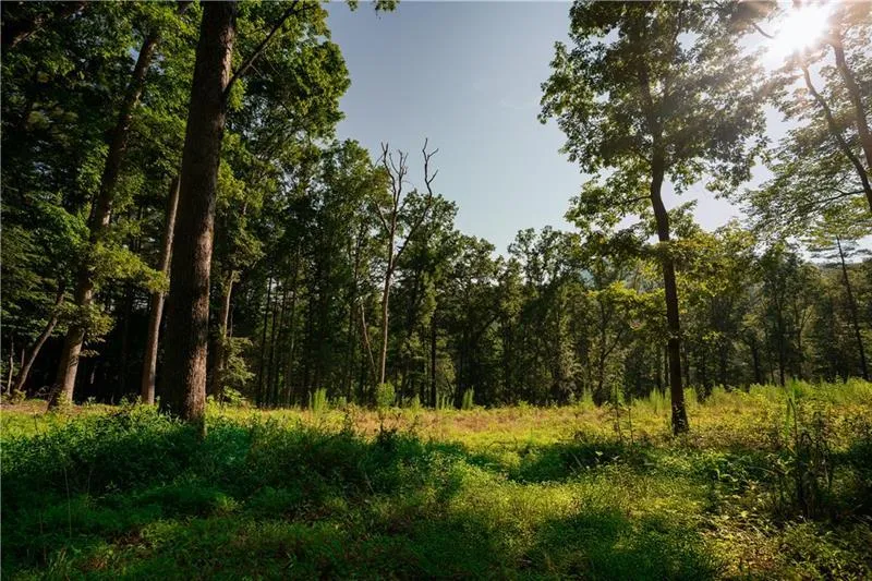 0 Old Rock Creek Road Blue Ridge, GA 30513