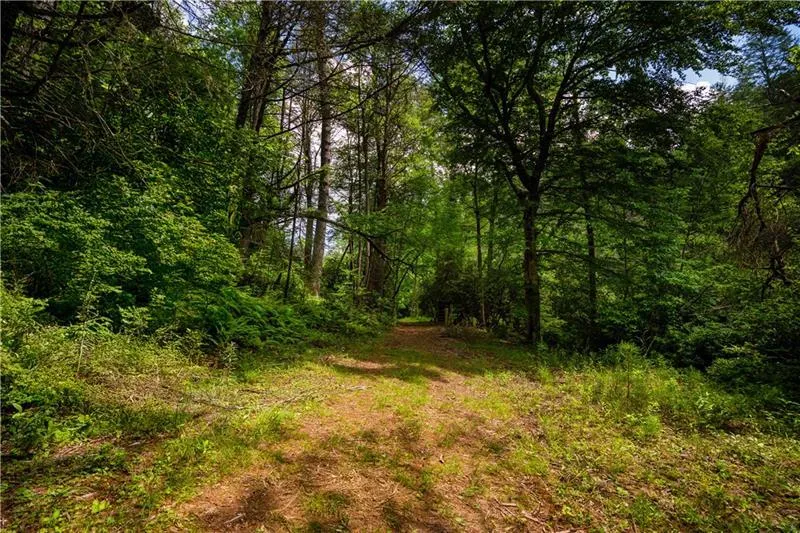 0 Old Rock Creek Road Blue Ridge, GA 30513
