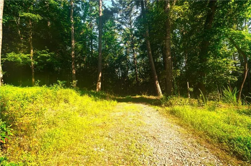 0 Old Rock Creek Road Blue Ridge, GA 30513