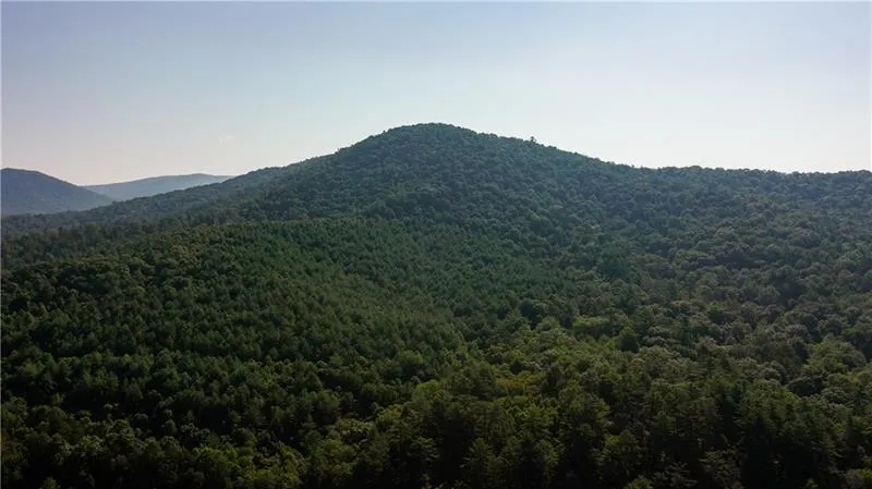 0 Old Rock Creek Road Blue Ridge, GA 30513