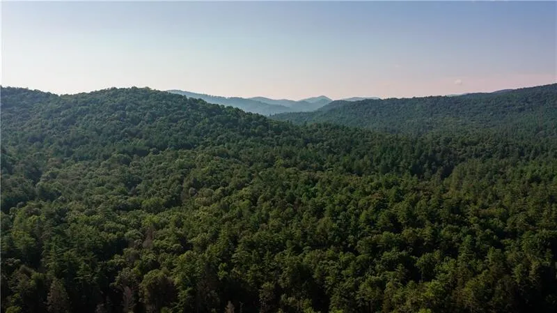 0 Old Rock Creek Road Blue Ridge, GA 30513