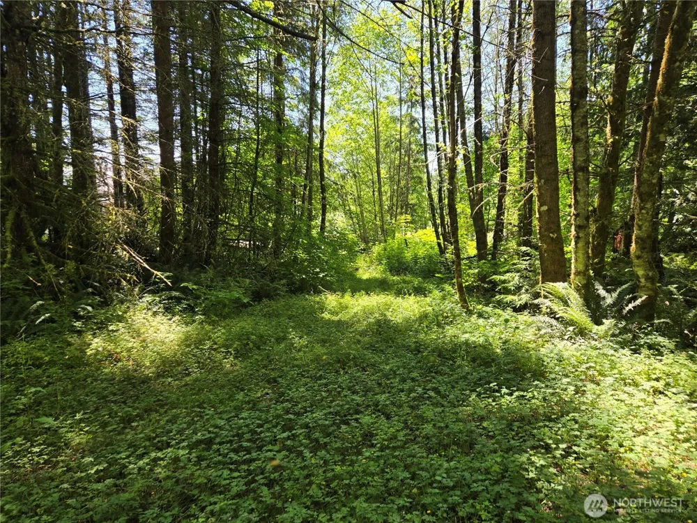 228 XX W King Lake Road Monroe, WA 98272