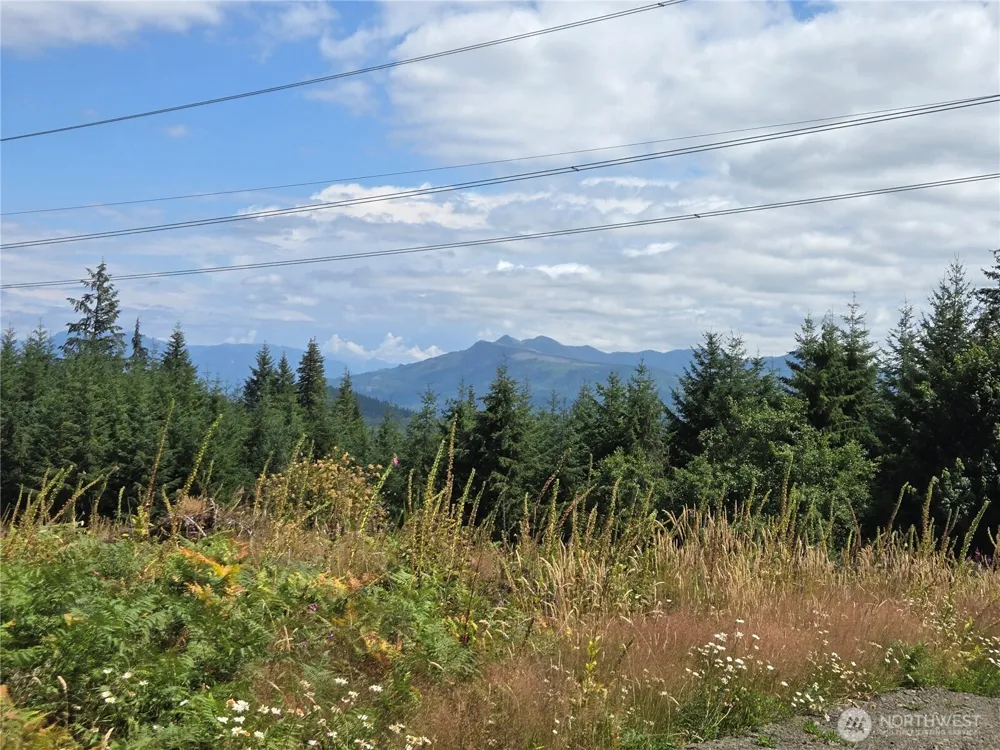 228 XX W King Lake Road Monroe, WA 98272