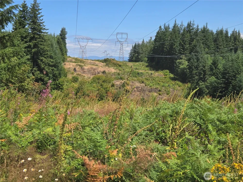 228 XX W King Lake Road Monroe, WA 98272