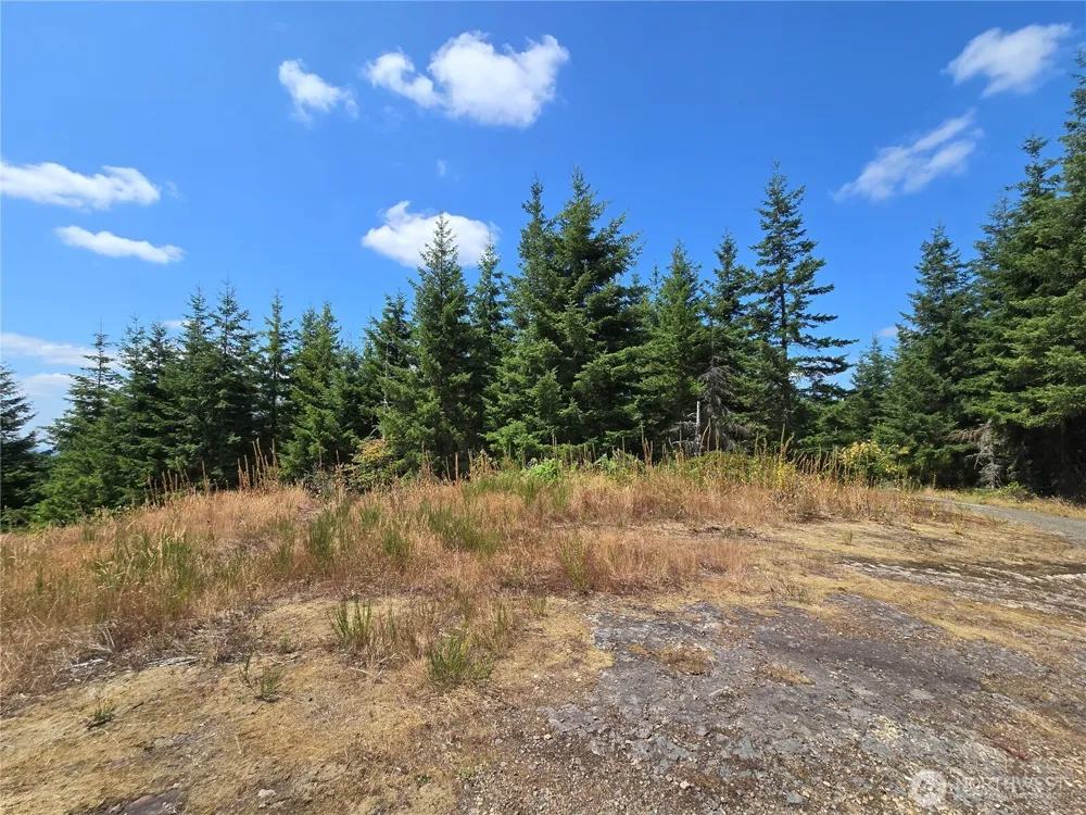 228 XX W King Lake Road Monroe, WA 98272