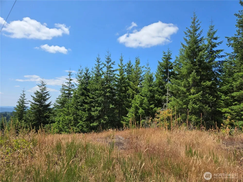 228 XX W King Lake Road Monroe, WA 98272