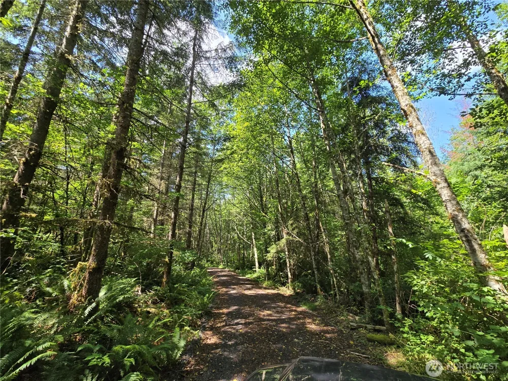 228 XX W King Lake Road Monroe, WA 98272