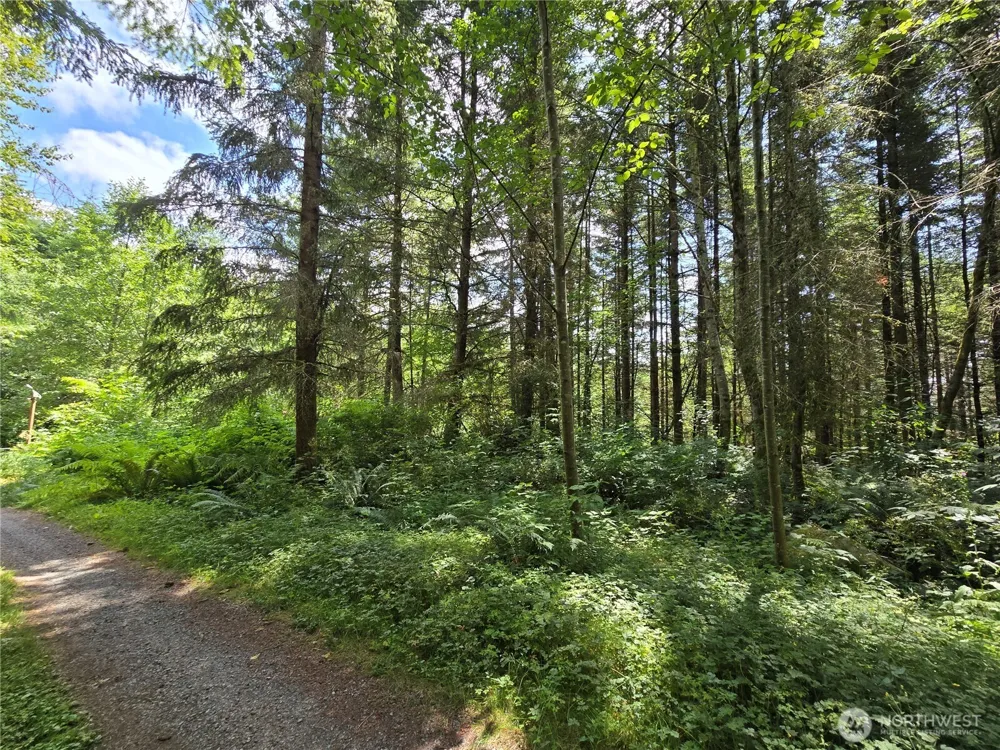 228 XX W King Lake Road Monroe, WA 98272