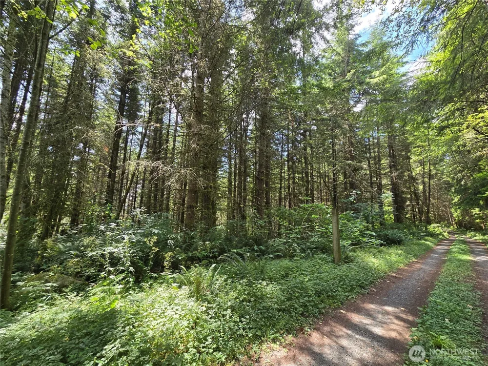 228 XX W King Lake Road Monroe, WA 98272