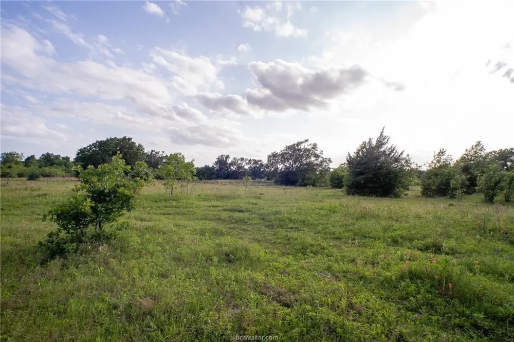 9525 S Hickory Loop County Road Calvert, TX 77837