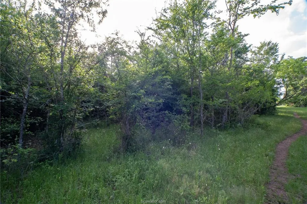 9525 S Hickory Loop County Road Calvert, TX 77837