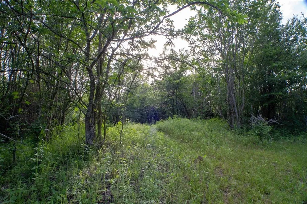 9525 S Hickory Loop County Road Calvert, TX 77837