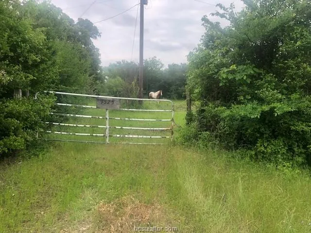 9525 S Hickory Loop County Road Calvert, TX 77837