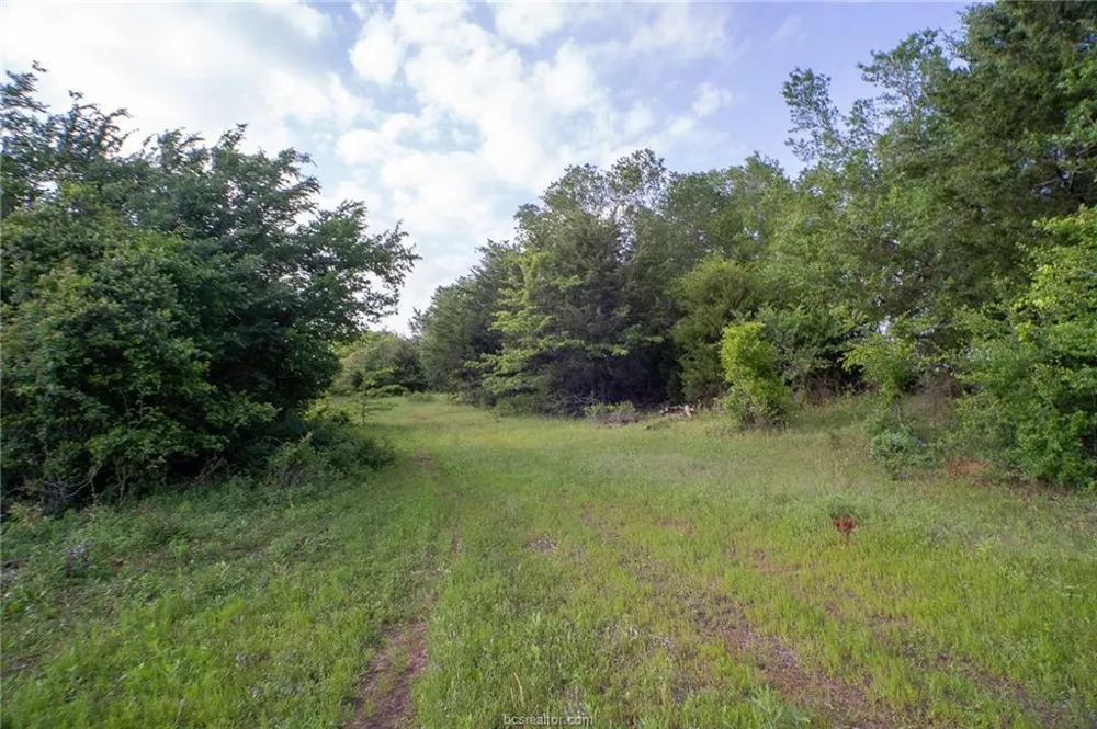 9525 S Hickory Loop County Road Calvert, TX 77837