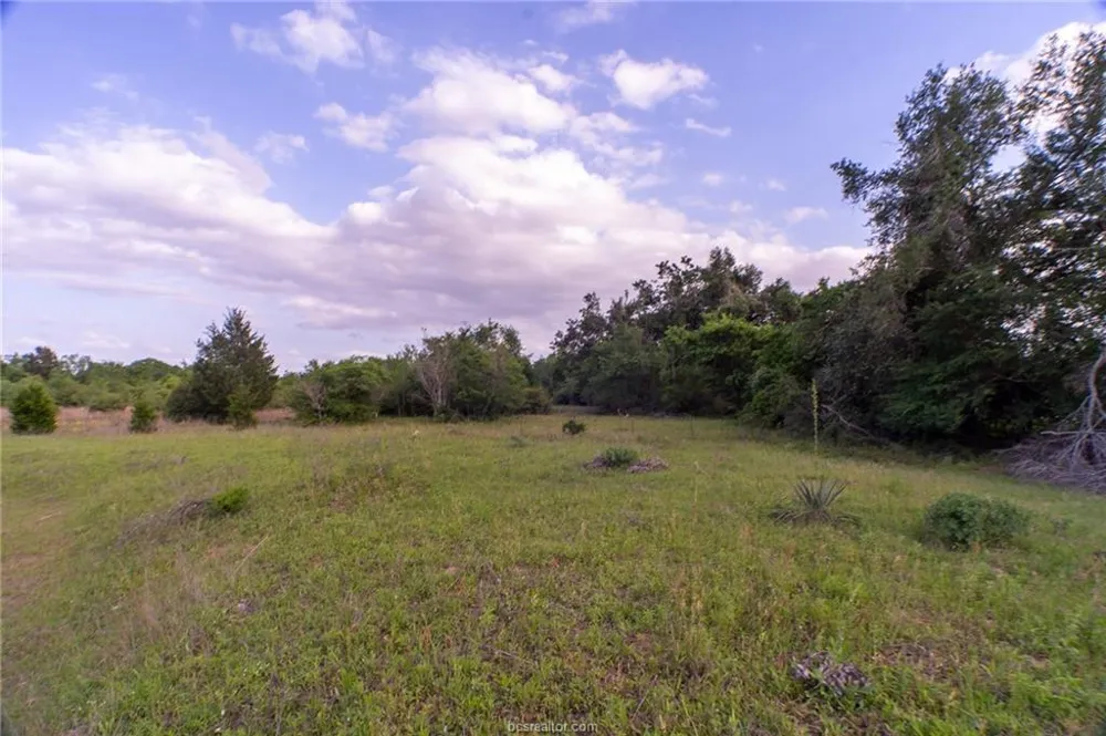9525 S Hickory Loop County Road Calvert, TX 77837
