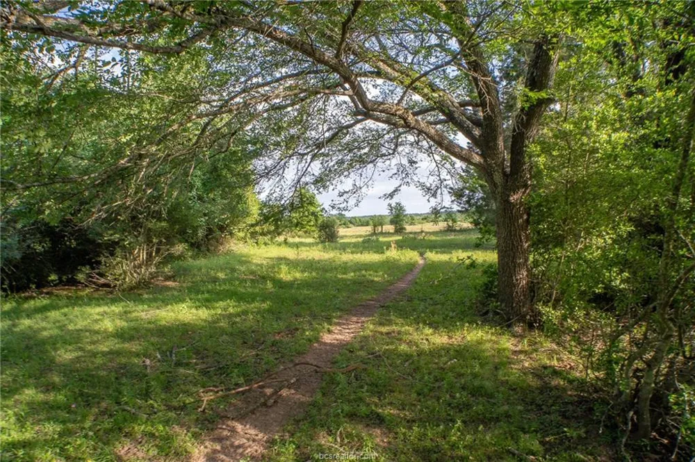 9525 S Hickory Loop County Road Calvert, TX 77837